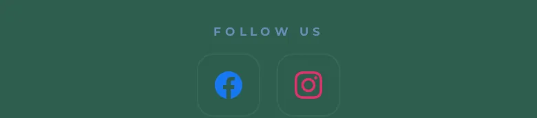 Facebook and Instagram icons on the demo card